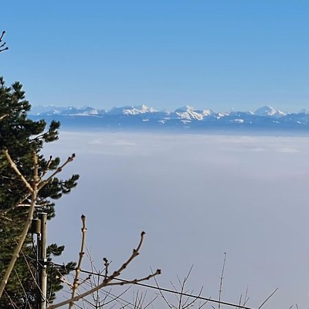 فيلا Grandeventفي Mont Blanc Chalet المظهر الخارجي الصورة